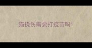 猫挠伤需要打疫苗吗