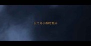 五个月小狗吃骨头
