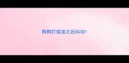 狗狗打疫苗之后抖动
