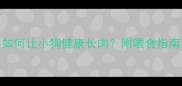 科学选择狗粮如何让小狗健康长肉附喂食指南与营养搭配技巧
