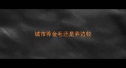 城市养金毛还是养边牧