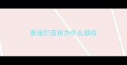 泰迪打疫苗为什么部位