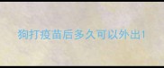 狗打疫苗后多久可以外出