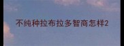 不纯种拉布拉多智商怎样