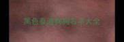 黑色泰迪狗狗名字大全