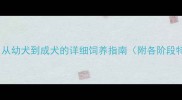 柴犬成长时间表从幼犬到成犬的详细饲养指南附各阶段特征与护理要点