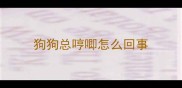 狗狗总哼唧怎么回事