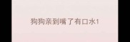 狗狗亲到嘴了有口水