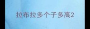 拉布拉多个子多高