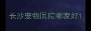 长沙宠物医院哪家好