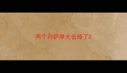 两个月萨摩犬齿掉了