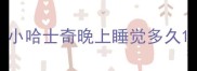 小哈士奇晚上睡觉多久