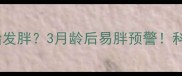 柯基犬几个月开始发胖3月龄后易胖预警科学干预指南来啦