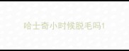 哈士奇小时候脱毛吗