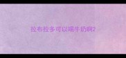 拉布拉多可以喝牛奶啊