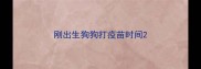 刚出生狗狗打疫苗时间
