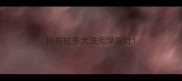 拉布拉多犬洗完澡呕吐