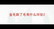 金毛剃了毛有什么坏处