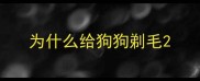 为什么给狗狗剃毛