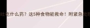 哈士奇呕吐吃什么药这5种食物能救命附紧急处理全攻略