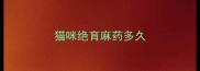 猫咪绝育麻药多久