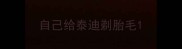 自己给泰迪剃胎毛
