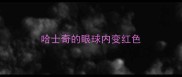 哈士奇的眼球内变红色