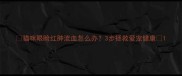 猫咪眼睑红肿流血怎么办3步拯救爱宠健康