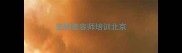 宠物美容师培训北京