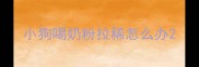 小狗喝奶粉拉稀怎么办