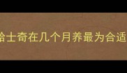 哈士奇在几个月养最为合适