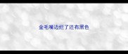 金毛嘴边烂了还有黑色