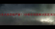 拉布拉多犬屋异味严重3步教你彻底解决家居清洁难题