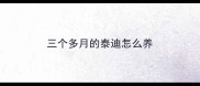 三个多月的泰迪怎么养