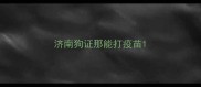 济南狗证那能打疫苗