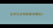 拉布拉多狗藓都有哪些