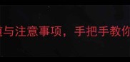 哈士奇领养全攻略最新领养渠道与注意事项手把手教你领养一只聪明又活泼的冰山王子