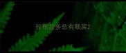 拉布拉多总有眼屎