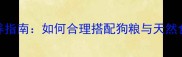 金毛犬科学喂养指南如何合理搭配狗粮与天然食材的黄金比例