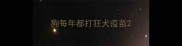 狗每年都打狂犬疫苗