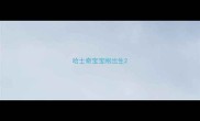 哈士奇宝宝刚出生