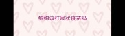 狗狗该打冠状疫苗吗