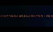 拉布拉多犬洗澡的正确频率与科学洗护指南附详细教程