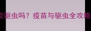 柯基犬打疫苗能驱虫吗疫苗与驱虫全攻略养宠必看