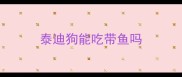 泰迪狗能吃带鱼吗