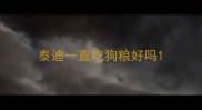 泰迪一直吃狗粮好吗