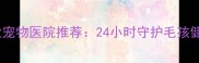 大连甘井子区专业宠物医院推荐24小时守护毛孩健康的医疗中心全