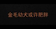 金毛幼犬或许肥胖
