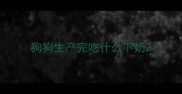 狗狗生产完吃什么下奶