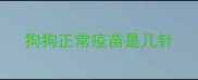 狗狗正常疫苗是几针